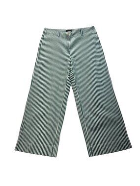 Talbots Wide Leg Pinstripe Pants Size 10 Petite NWT Green White Preppy Classic